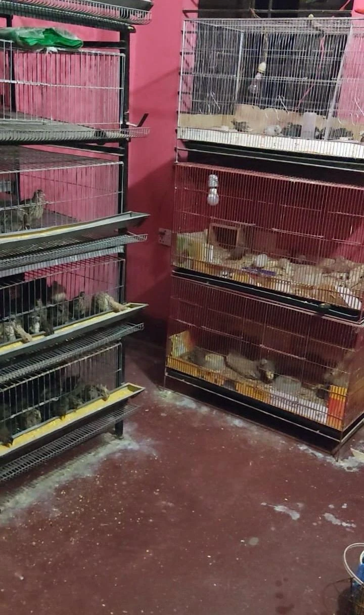 Store