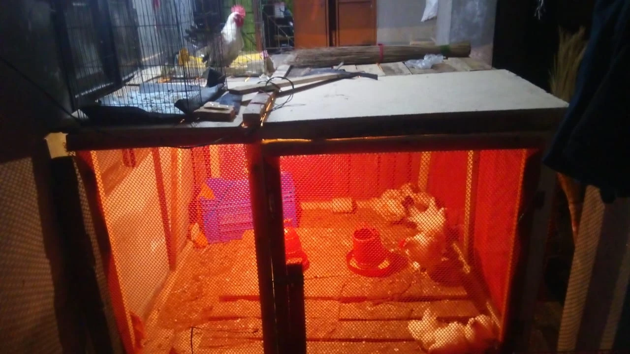Store